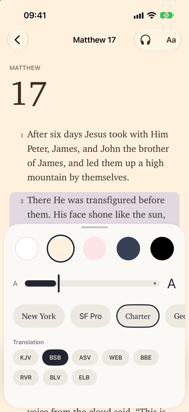 The reading theme sheet with five paper colours, a text-size slider, typefaces and eight translations.